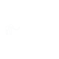 Expertus Logo